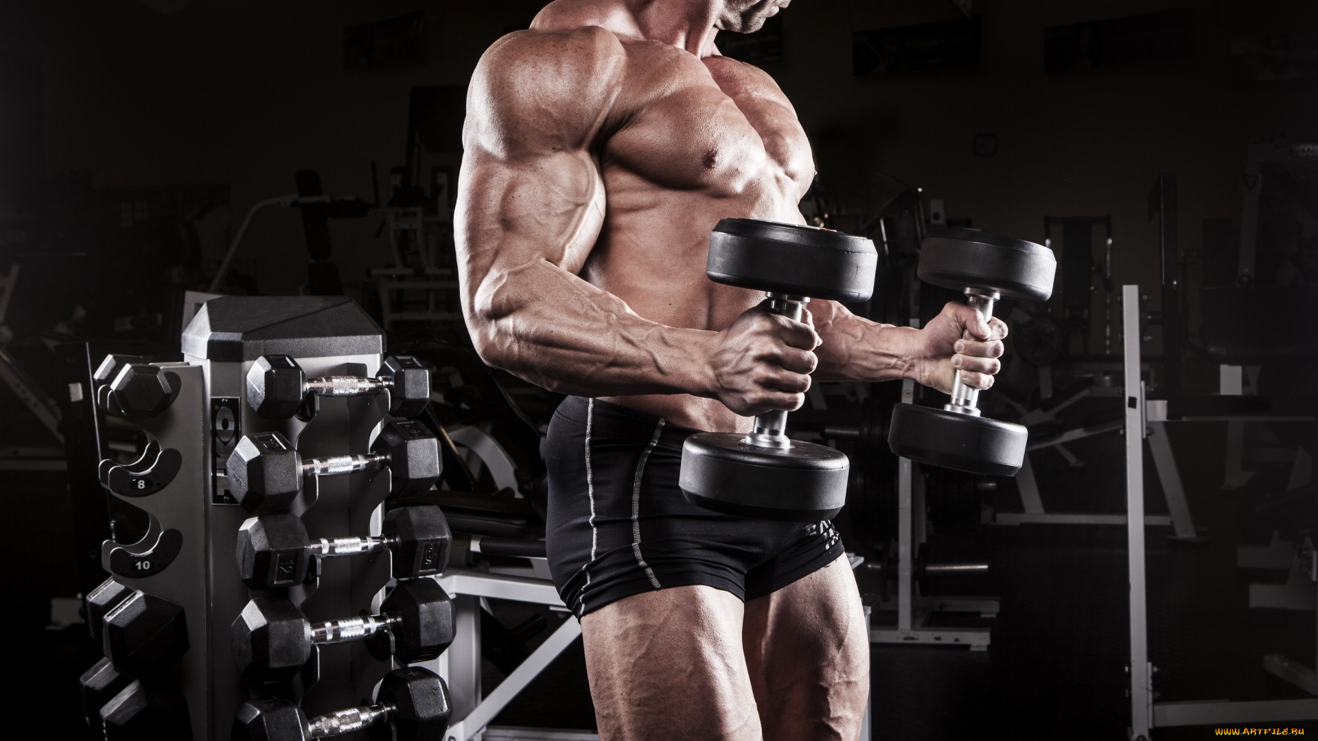 , body building, , , , , , , 